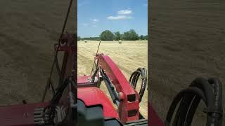 Makin’ Hay In The Hayfield