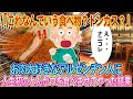 「どうせ日本のトンカツもペラペラなんだろ？」お肉大好きなアルゼンチン人に人生初の日本のトンカツ定食を食わせた結果ww【ゆっくり解説・海外の反応】