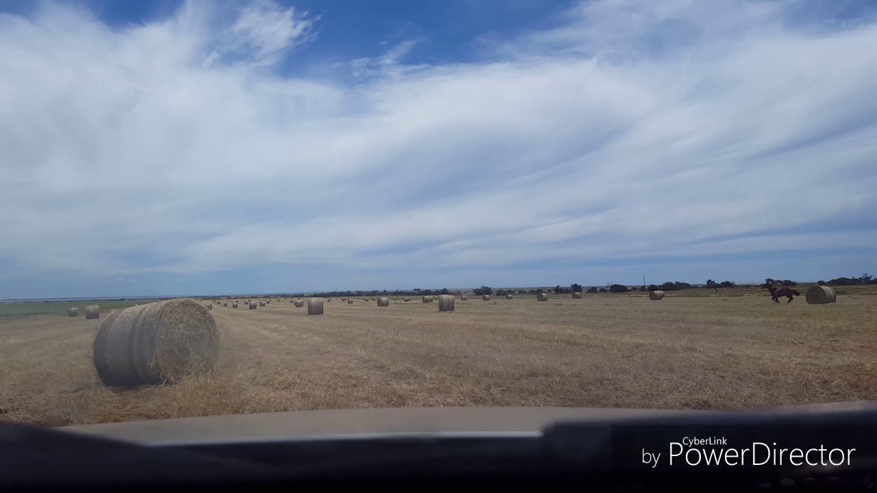 Bikini Barrel (hay bale) racing - YouTube