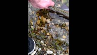 VID 20140304 130209