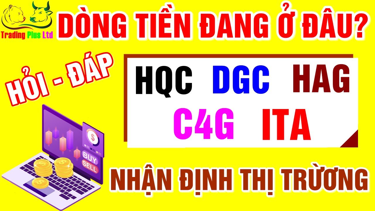 F186 - Cổ phiếu HQC - HAG - ITA - DGC - C4G | Nhận... - youtube