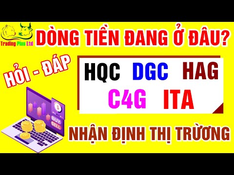 Video F186 - Cổ phiếu HQC - HAG - ITA - DGC - C4G | Nhận... - youtube
