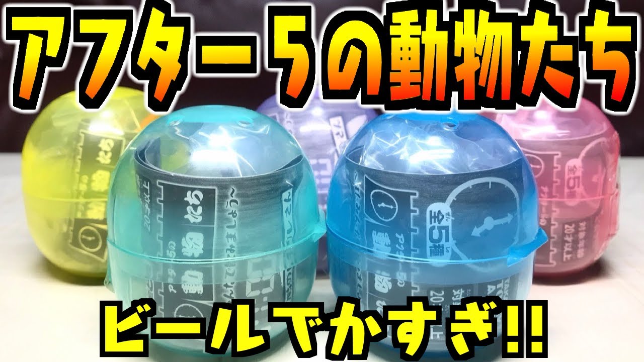 ガチャガチャ 今週もお疲れ様でした アフター５の動物たち またみんなで飲みましょう 全種類 開封レビュー おもちゃ フィギュア Youtube