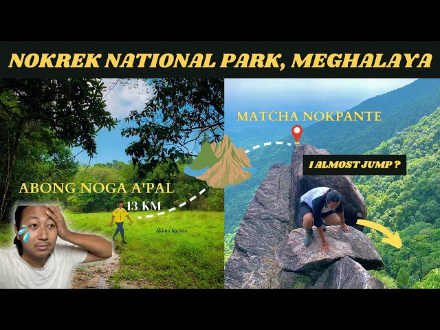 District map of Meghalaya showing location of Nokrek (inset map of... |  Download Scientific Diagram