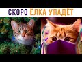 СКОРО ЁЛОЧКА УПАДЁТ) Приколы с котами | Мемозг #478