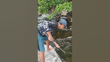 Rocking Fishing, crab catching rod in action.