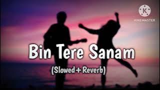 Bin Tere Sanam | (Slowed and Reverb) | Udit Narayan  Kavita K....