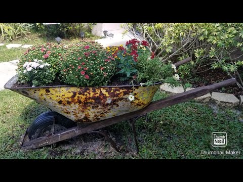 Video: Cuidar las carretillas en el jardín: cómo cuidar correctamente una carretilla