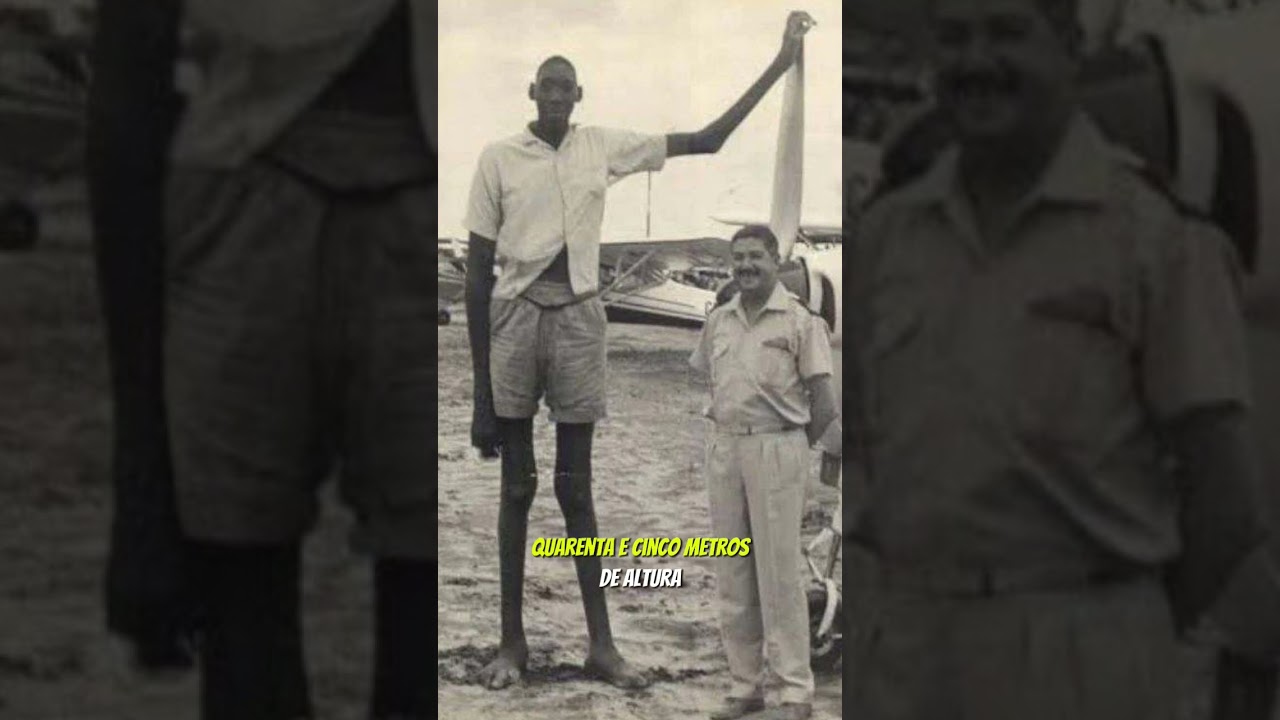 O gigante de Moçambique #shots #historia #interessantes #curiosidades