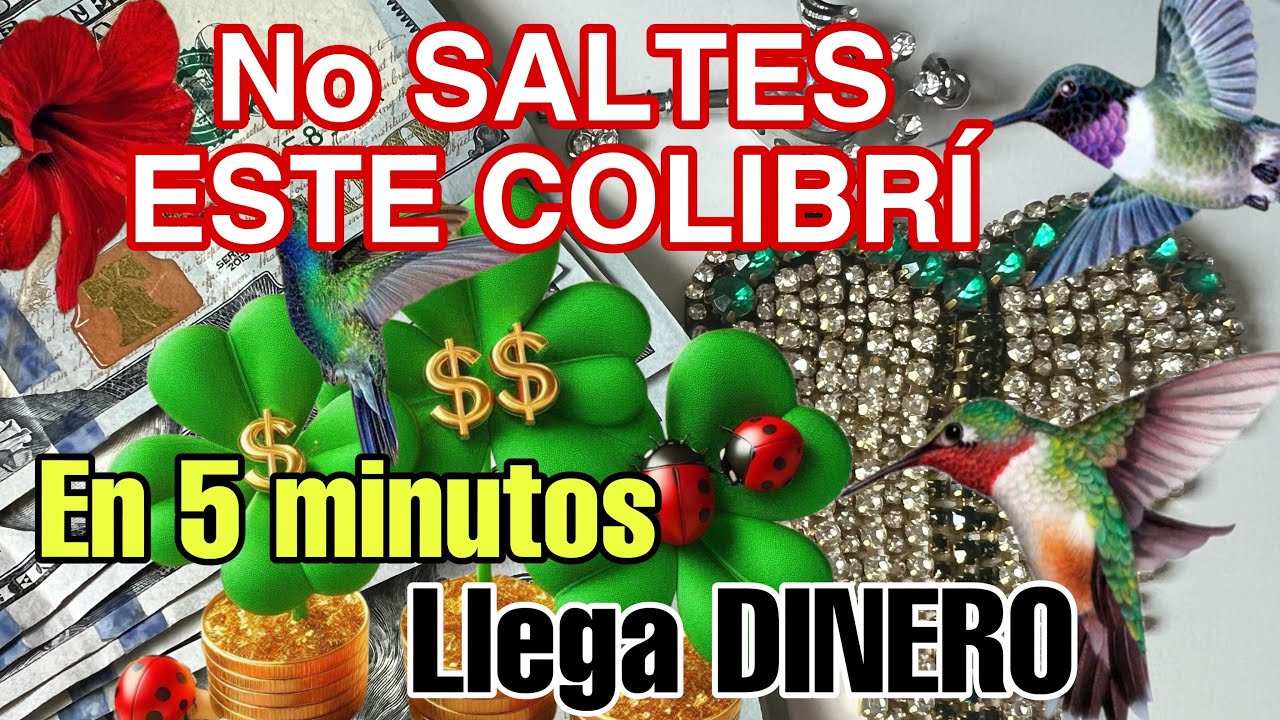 Te llegara dinero de todas partes ACTIVA El colibrí de la Abundancia ...