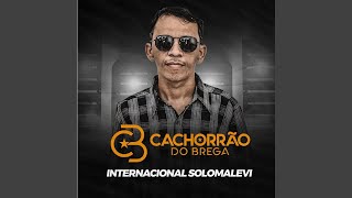 Video thumbnail of "Cachorrão do Brega - Solomalevi (Ao Vivo)"