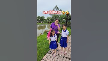 đi tìm con cá vàng