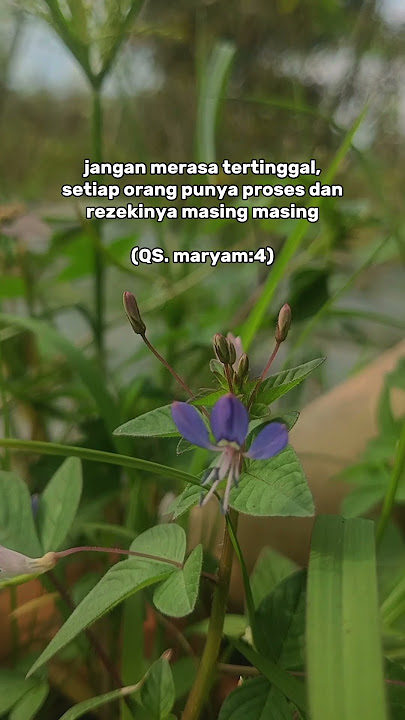 yang terpenting nikmati prosesnya #nabiputraabdullah #maulayasholli #sholawat #motivasi #islamic