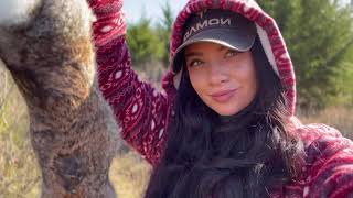 Rabbit, Gator And Deer Stew Over The Fire