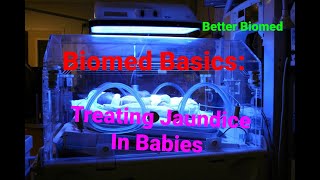 Biomed Basics Treating Jaundice In Babies