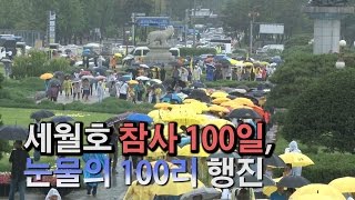 [NocutView] 세월호 참사 100일,  눈물의 100리 행진