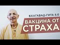 2020.04.05 - Вакцина от страха. Бхагавад-Гита 8.6