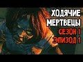 The Walking Dead Прохождение На Русском #1 — СЕЗОН 1 ЭПИЗОД 1