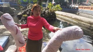 MEMBUAT 2 GULING UNTUK PENGGEMAR SARAH LIEO NDESO DI MEDAN