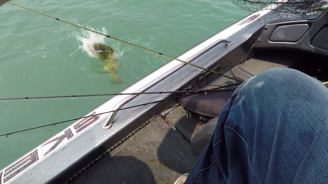 Lake St. Clair Canal Fishing