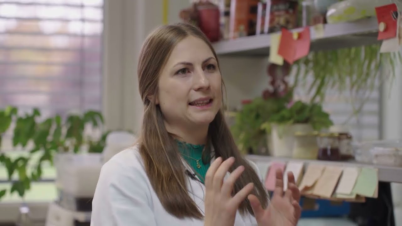 Kaj je res na šolskem krožniku?