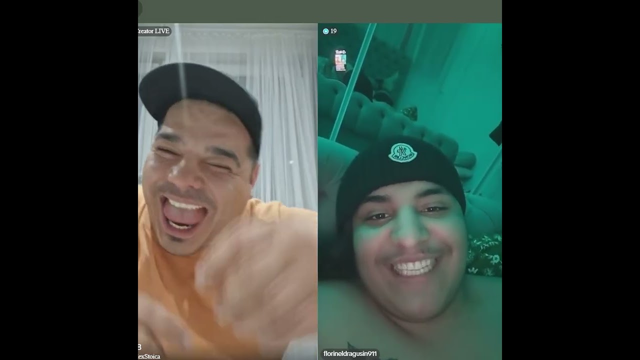 ALEX STOICA ENCICLOPEDIA SMECHERILOR POVESTI