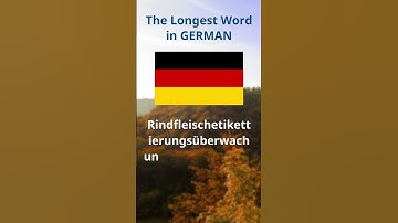 The Longest Word in German (63 letters)