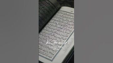 #اكسبلور #تلاوة_نادرة_لاول_مرة #القرآن_الكريم #راحه_نفسيه #تلاوة_خاشعة #تلاوة_هادئة