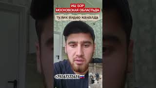 ИШ БОР МОСКОВСКАЯ ОБЛАСТЬ ГОРОД КЛИН