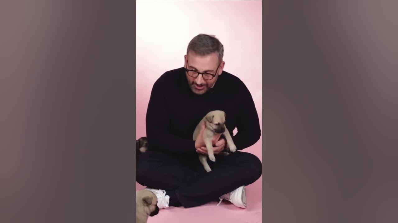 dogs-are-good-for-your-blood-pressure-stevecarrell-puppies-youtube