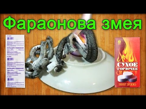 Фараонова змея -