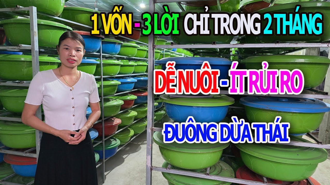Làm Giàu Từ Mô Hình Chăn Nuôi Đuông Dừa 1 Vốn - 3 Lời Chỉ Trong 2 Tháng Dễ Nuôi - Ít Rủi Ro