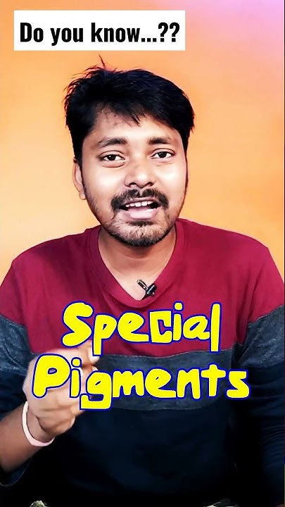 how-non-green-plants-do-photosynthesis-shorts-davguru-youtube