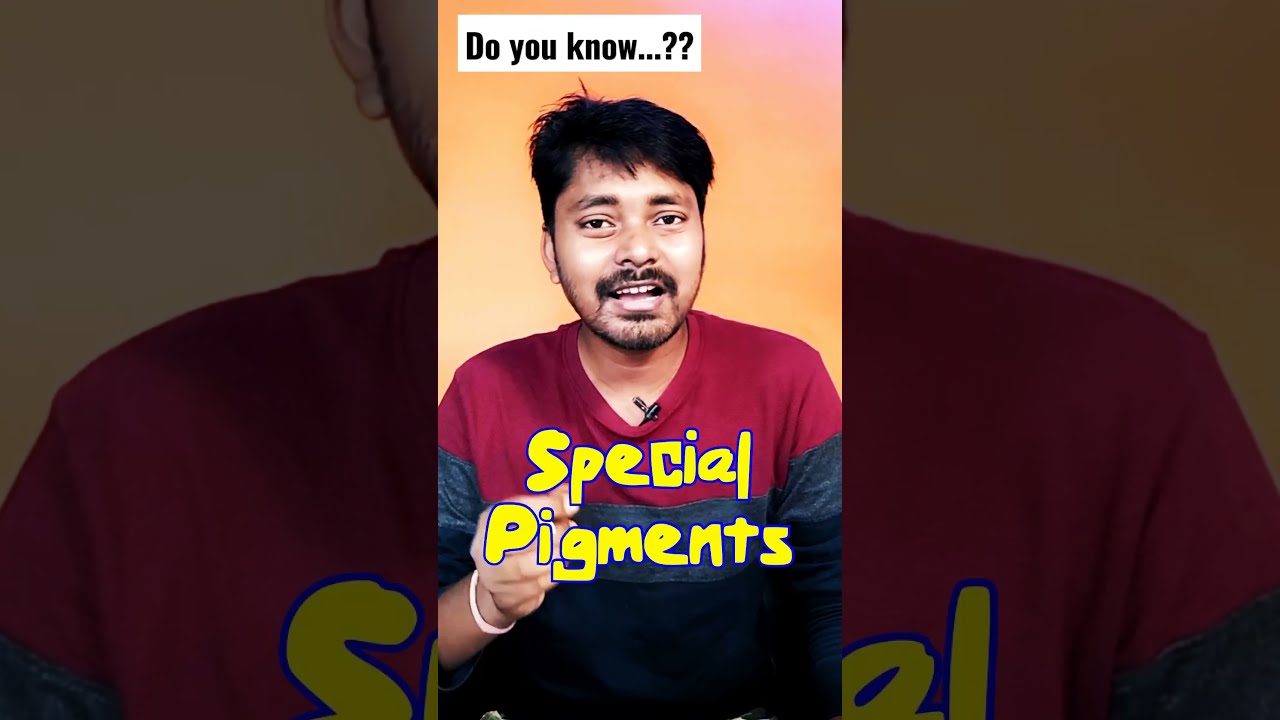 How Non Green Plants Do Photosynthesis shorts DAVGURU YouTube How Non Green Plants Do Photosynthesis shorts DAVGURU YouTube