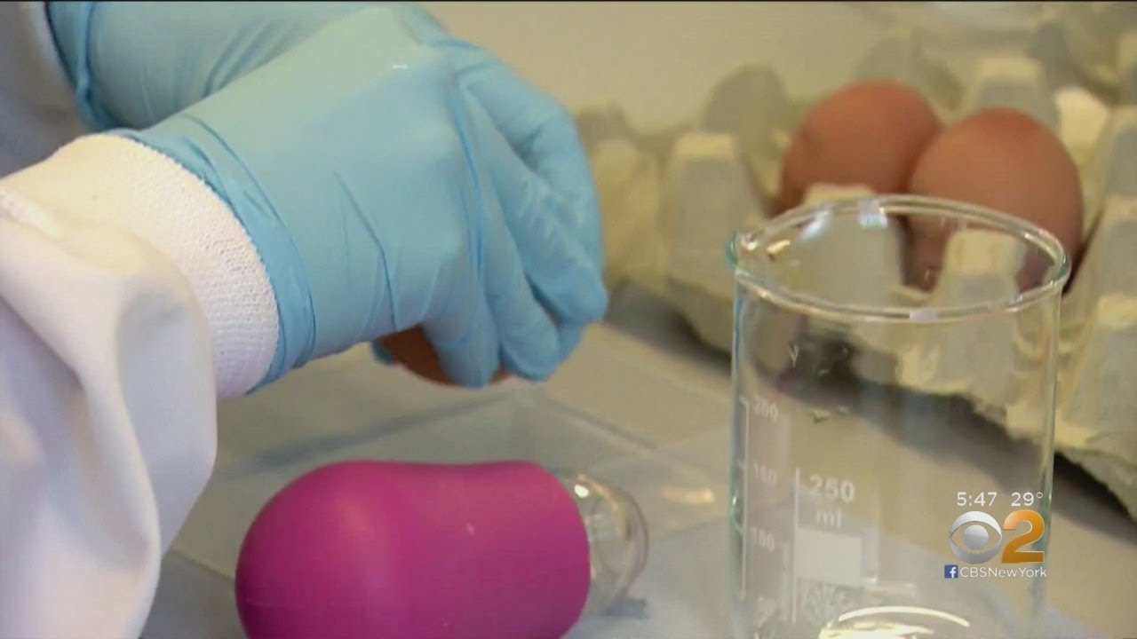 Scientists Create Eggs Filled With Medicine YouTube