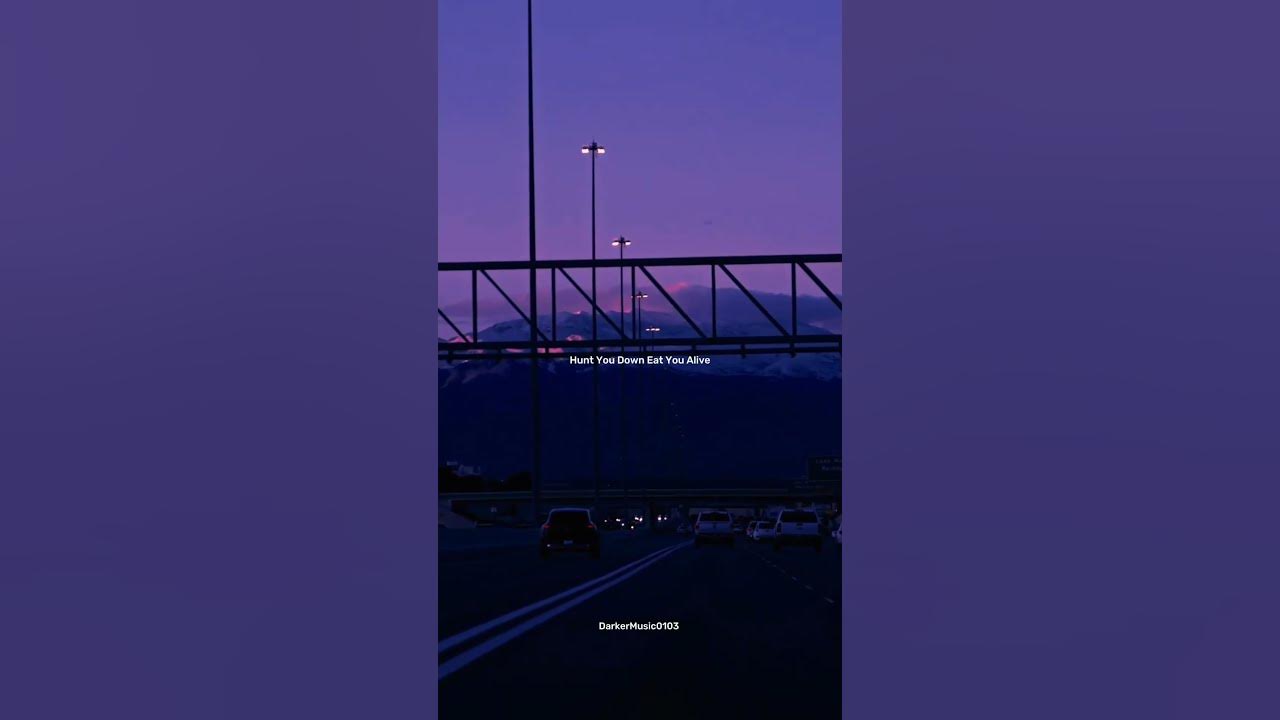 Maroon 5 - Animals x Starboy [Slowed Remix] Aesthetic #maroon5 #animals #aesthetic