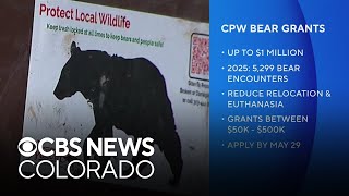 CPW offers $1M in grants to help reduce human-bear conflicts