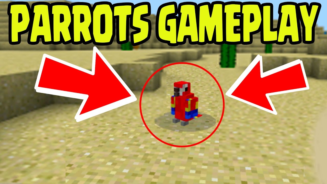 NEW Minecraft PE PARROT Update Gameplay! Minecraft Pocket Edition PARROTS CONFIRMED! - YouTube