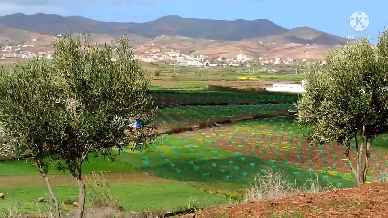 مشروع أفوكادو إقليم شفشاون تاسيفت 2022/02/28