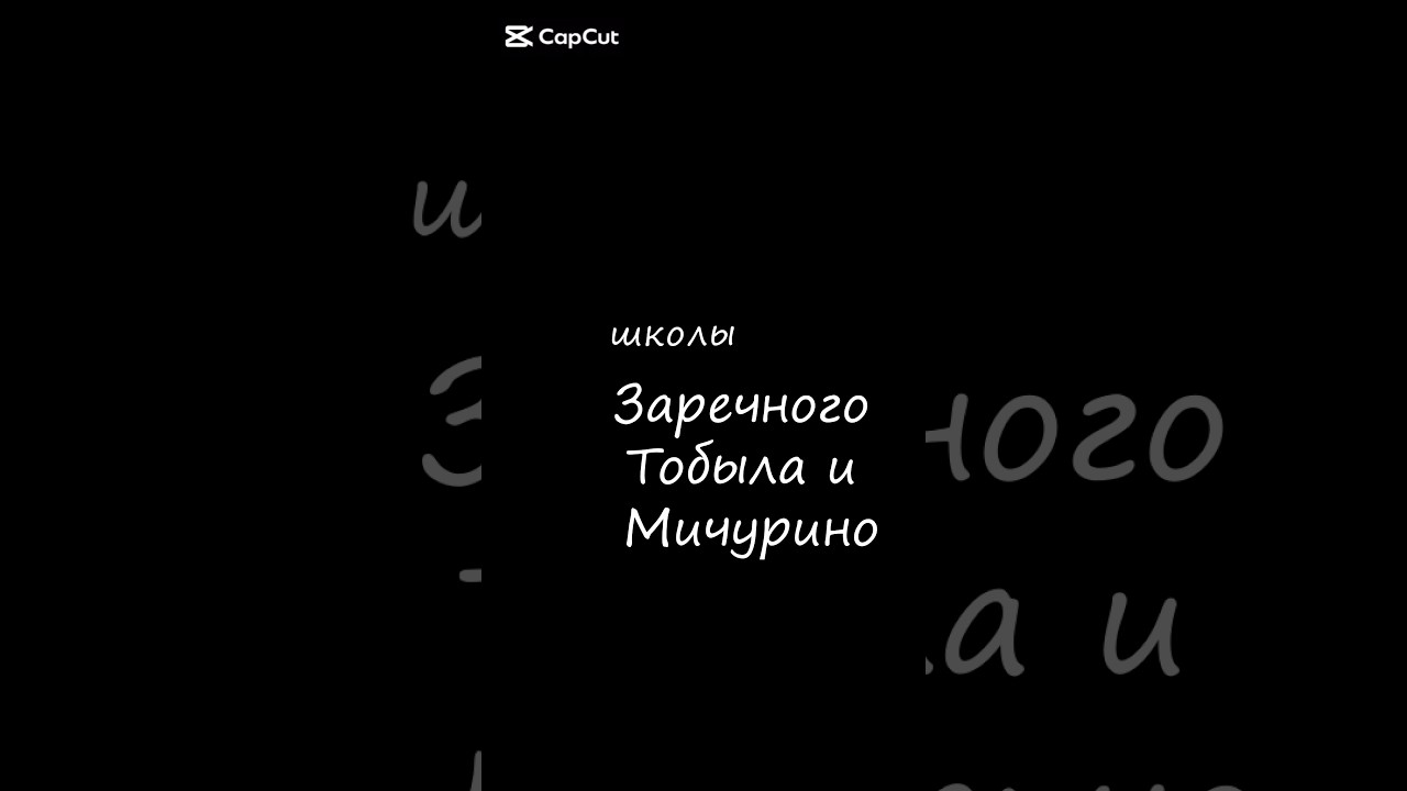 школы Заречного Тобыла и Мичурино.......... 
