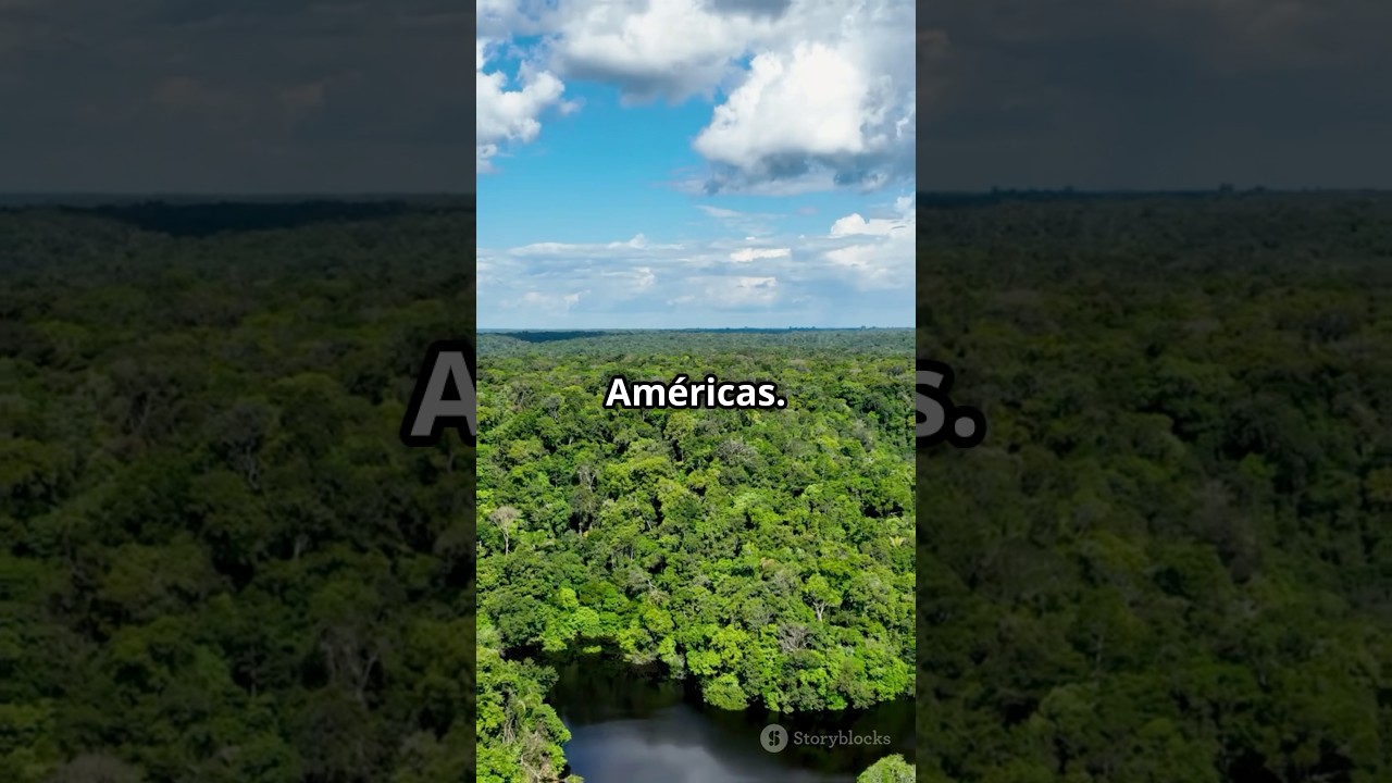 La tribu que desapareció sin dejar rastro 