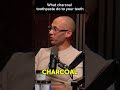 @DTHshow  on youtube "Charcoal toothpaste is literally sandblasting your enamel away 😳🦷"