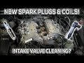 New Spark Plugs, Coil and Intake Valve Clean | VE Commodore Daily Part 2