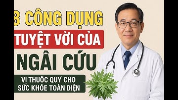 8 Công Dụng Tuyệt Vời Của Ngải Cứu – Vị Thuốc Quý Cho Sức Khỏe Toàn Diện