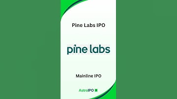 Pine Labs IPO: The Next Big Tech Giant?