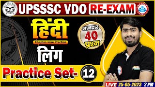 UPSSSC VDO RE-Exam Hindi, VDO Hindi Practice Set 12 | लिंग Hindi Class | VDO Hindi Questions