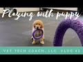 Vlog 2 playing with puppy
