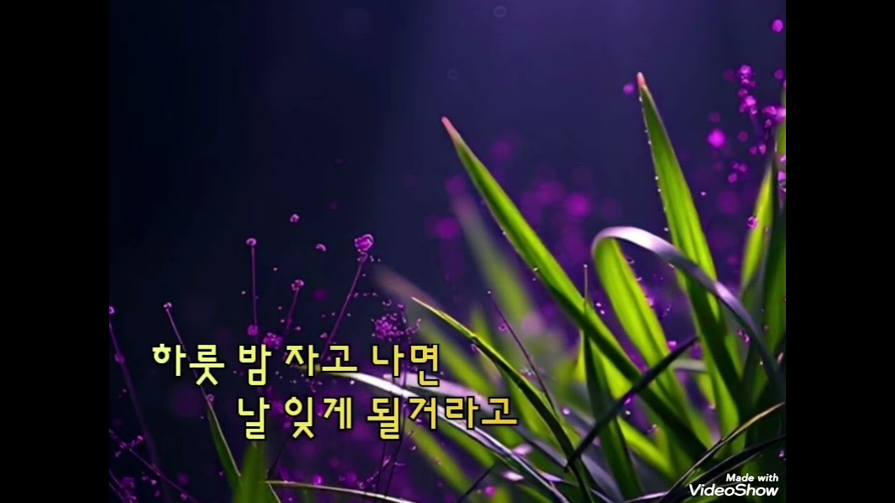 화양연화/이태종/Covered by 김미정(가사,3회연속듣기)