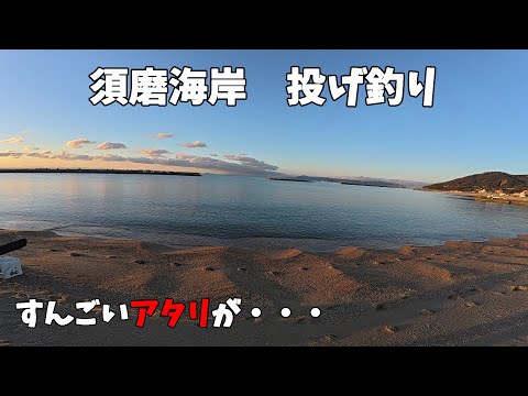 須磨海岸で投げ釣りすると・・・