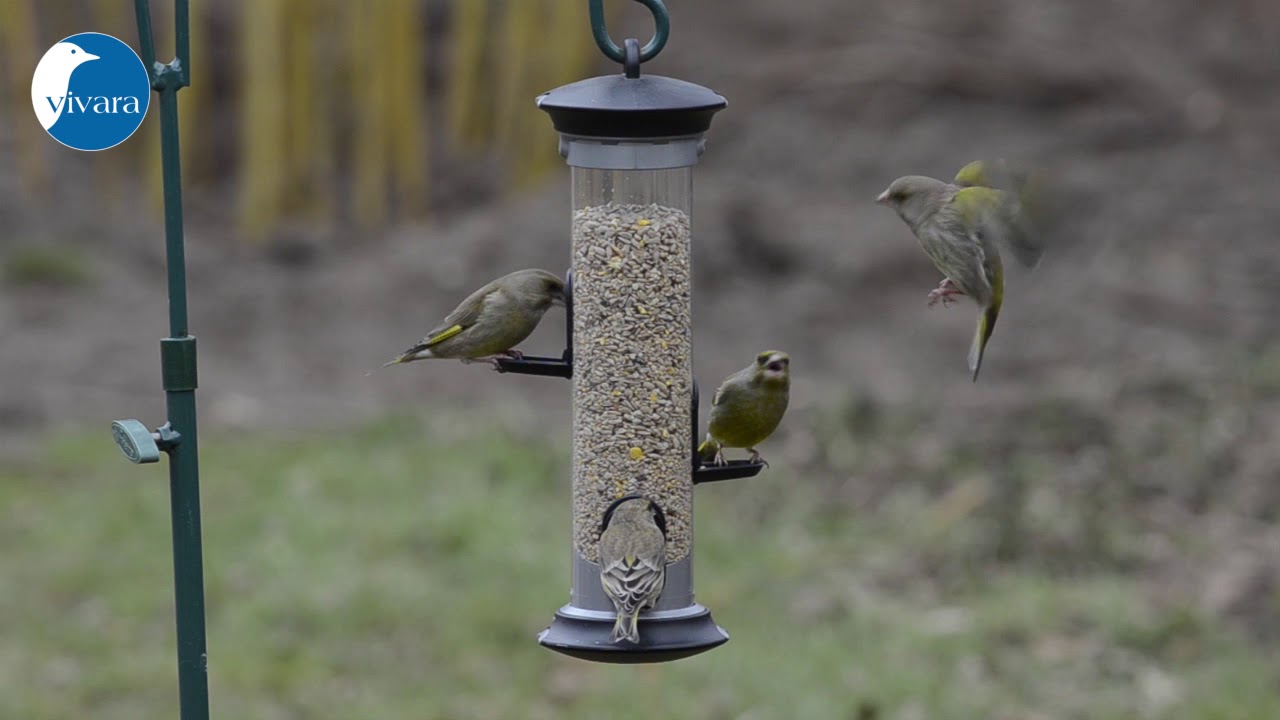 Voedersilo Apollo (31095)